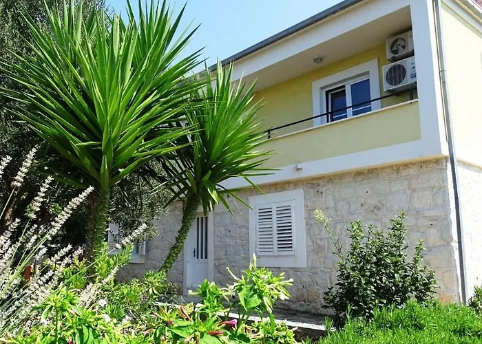 House Mia تروغير